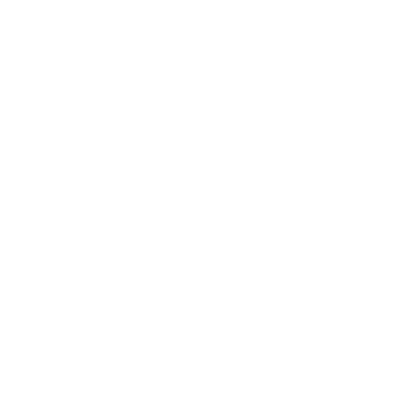 RethinkDNS logo